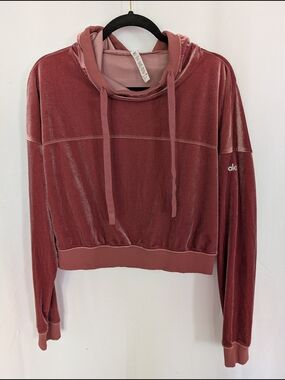 ALO Yoga Velour Cropped Hoodie in Rosewood